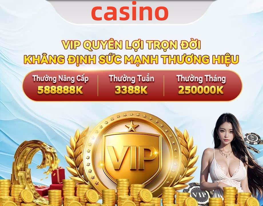 vn6