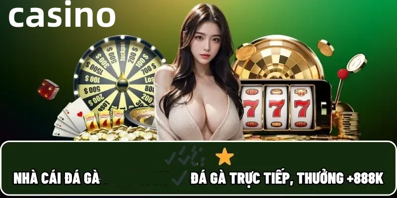 vn6