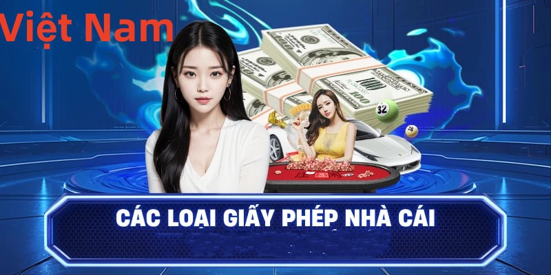 vn6