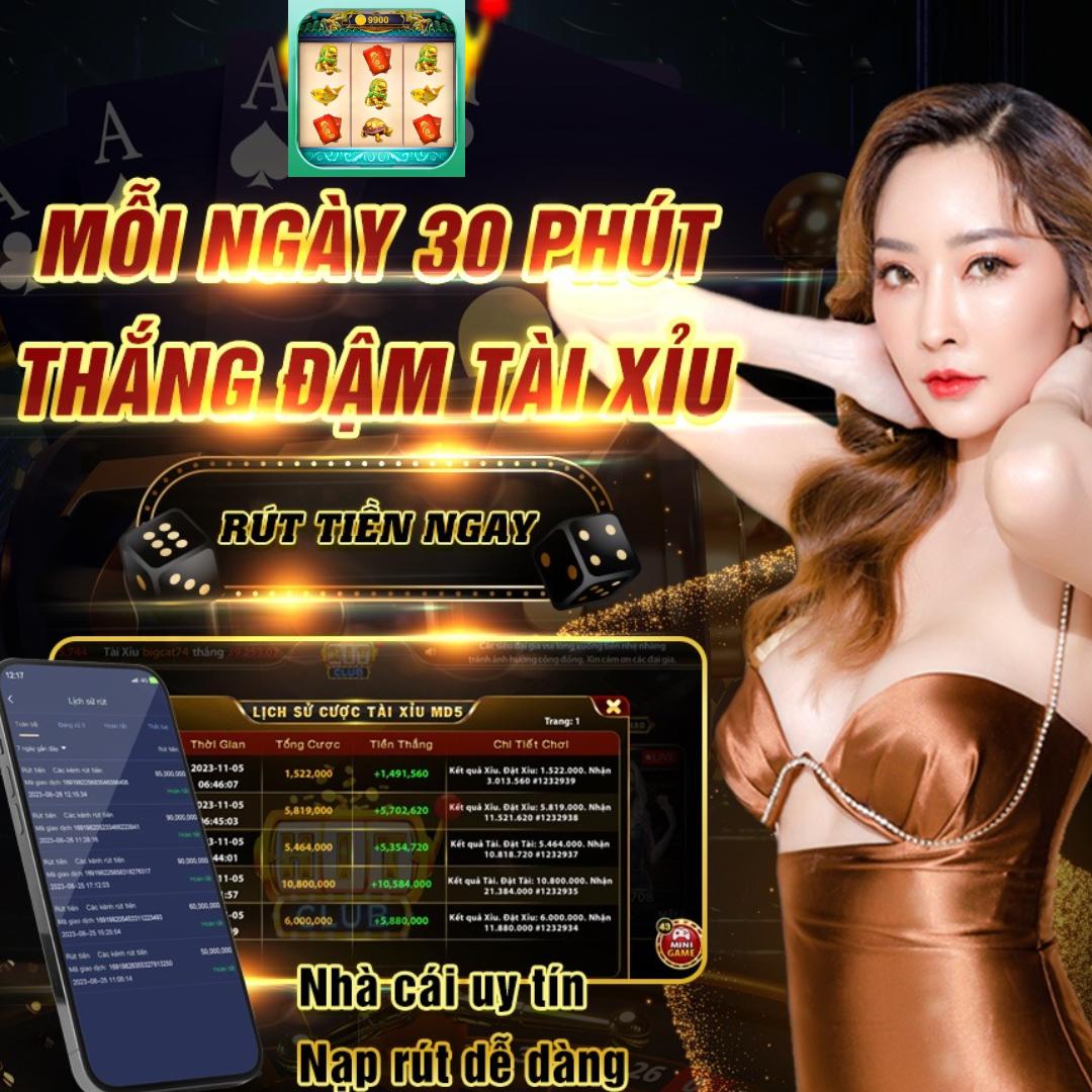 vn6